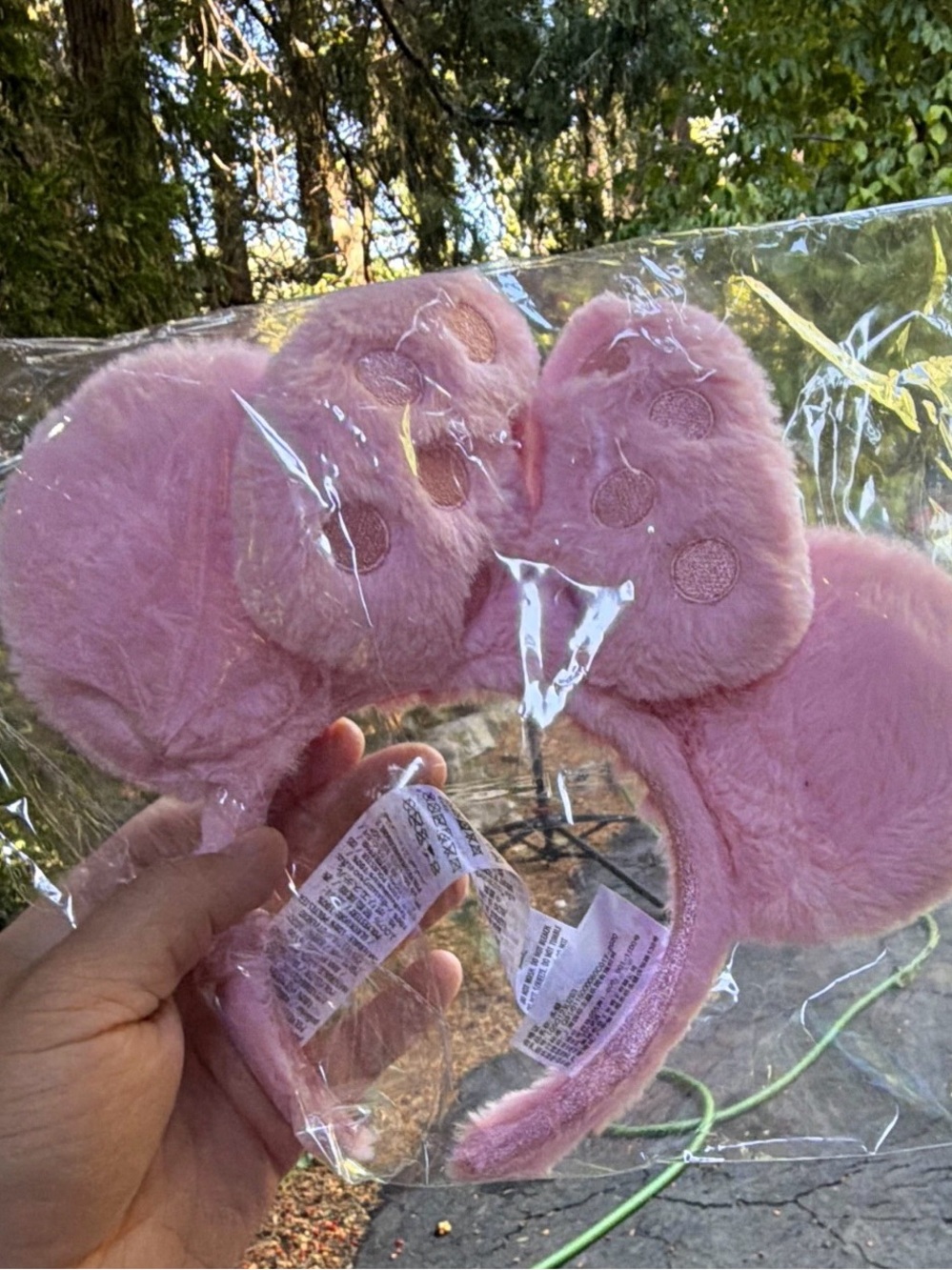 Tokyo Japan Pink Piglet Polkadot Disney Ears
